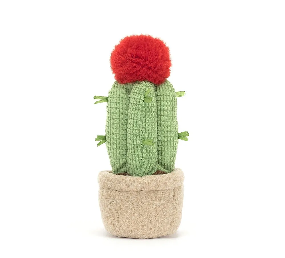 A6MCA Amuseable Moon Cactus