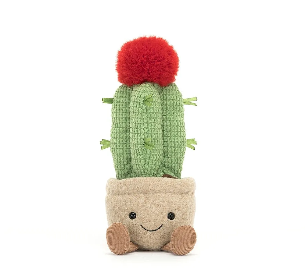 A6MCA Amuseable Moon Cactus