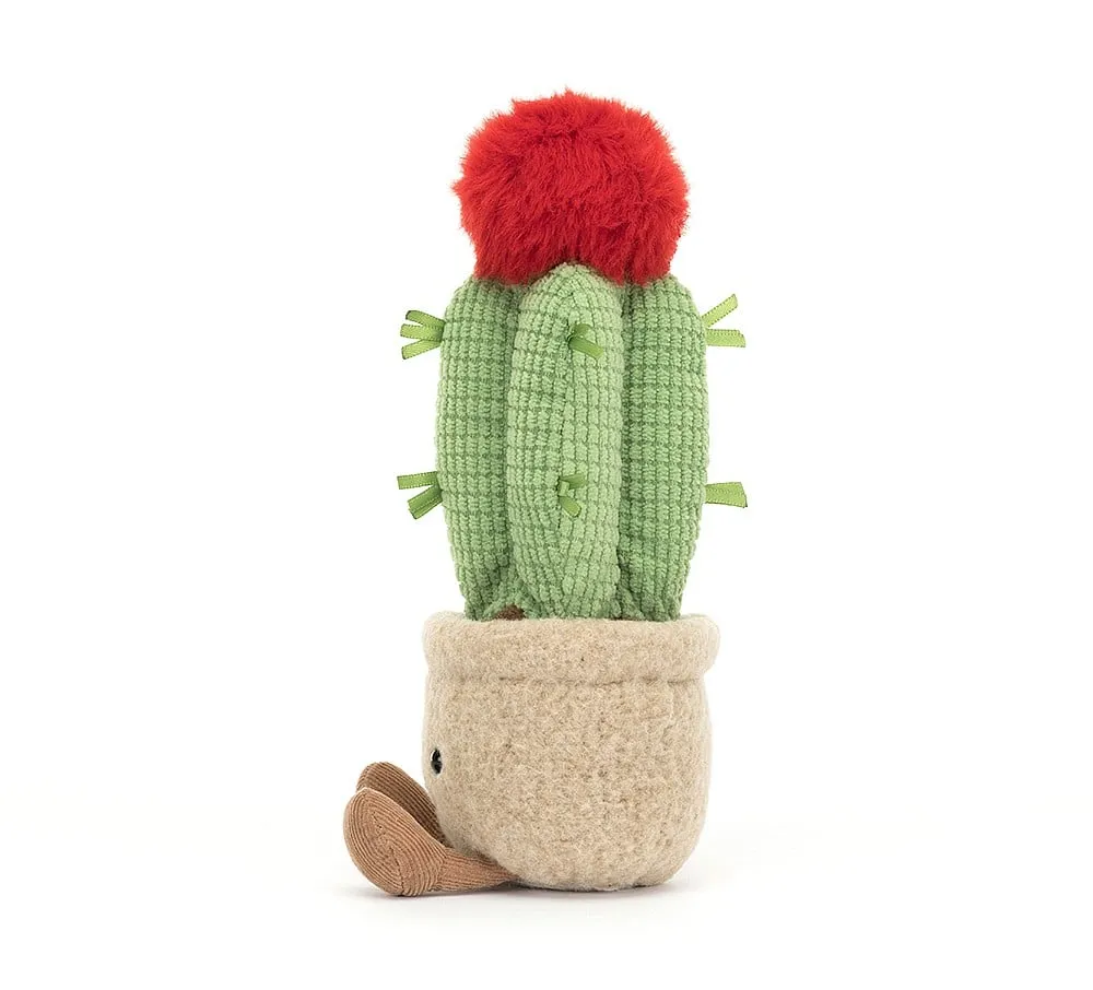 A6MCA Amuseable Moon Cactus