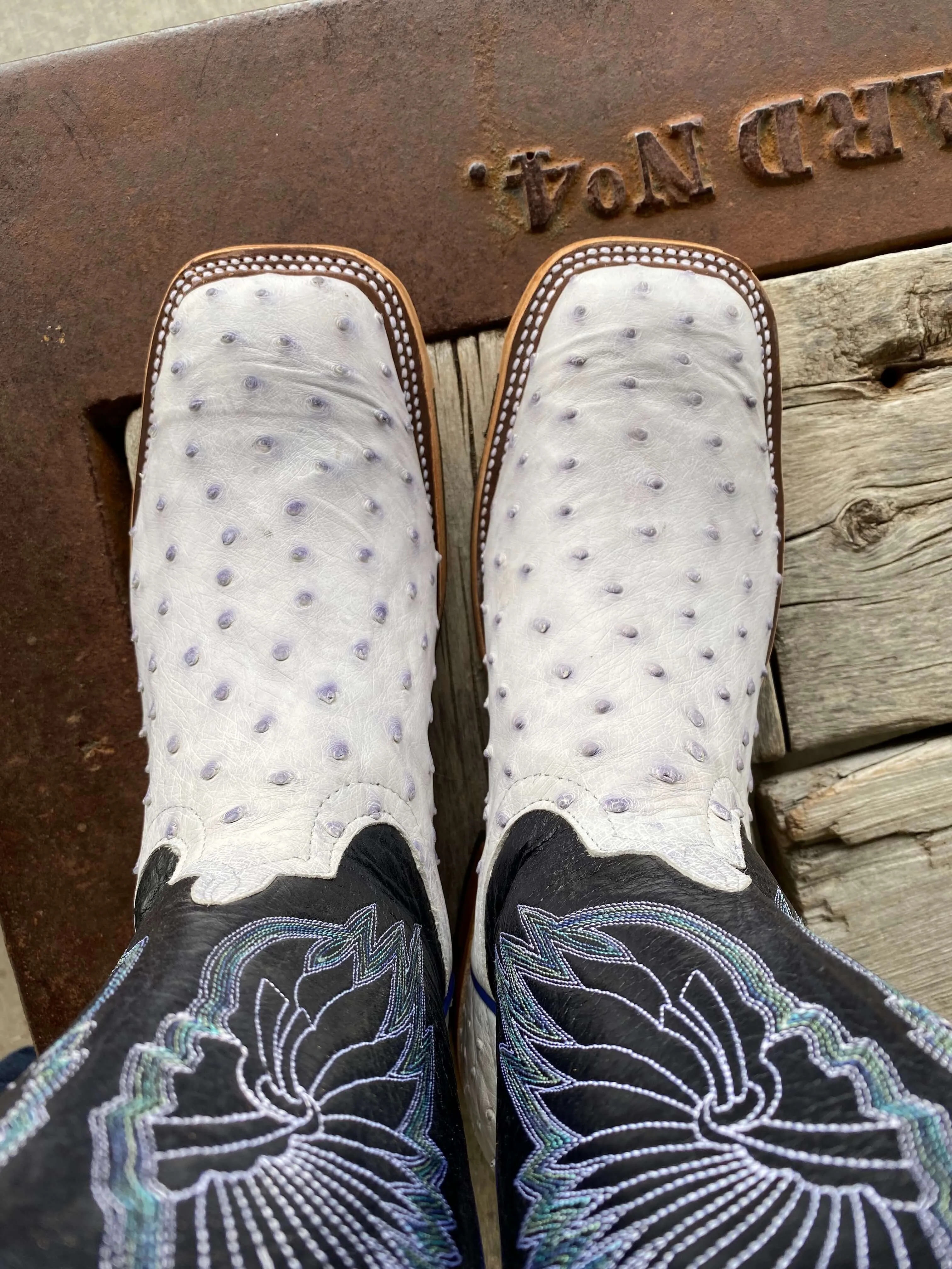 Anderson Bean | White Bruciato Full Quill Ostrich Boot