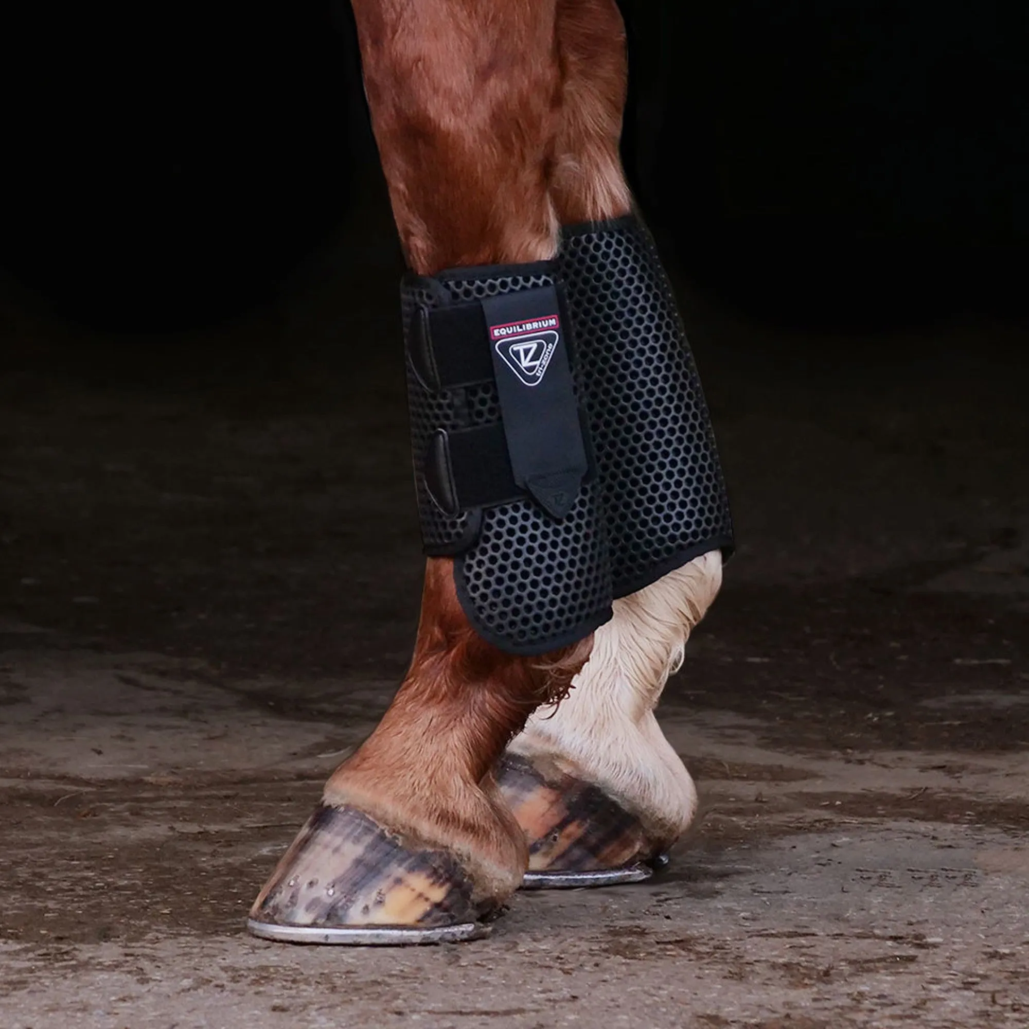 Equilibrium Tri-Zone All Sports Boots