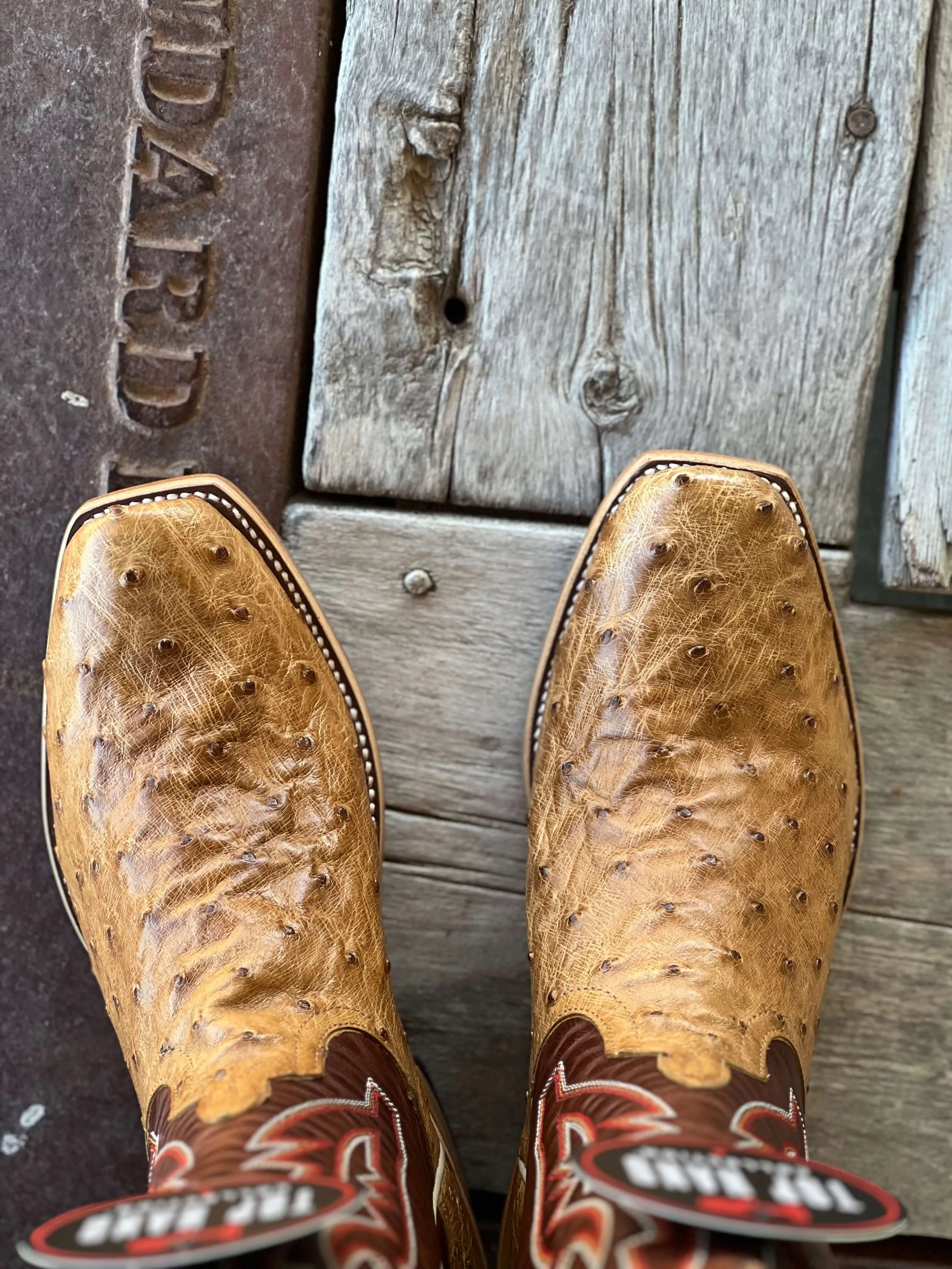 Horse Power Top Hand  | Antique Saddle FQ Ostrich TK Toe Boot