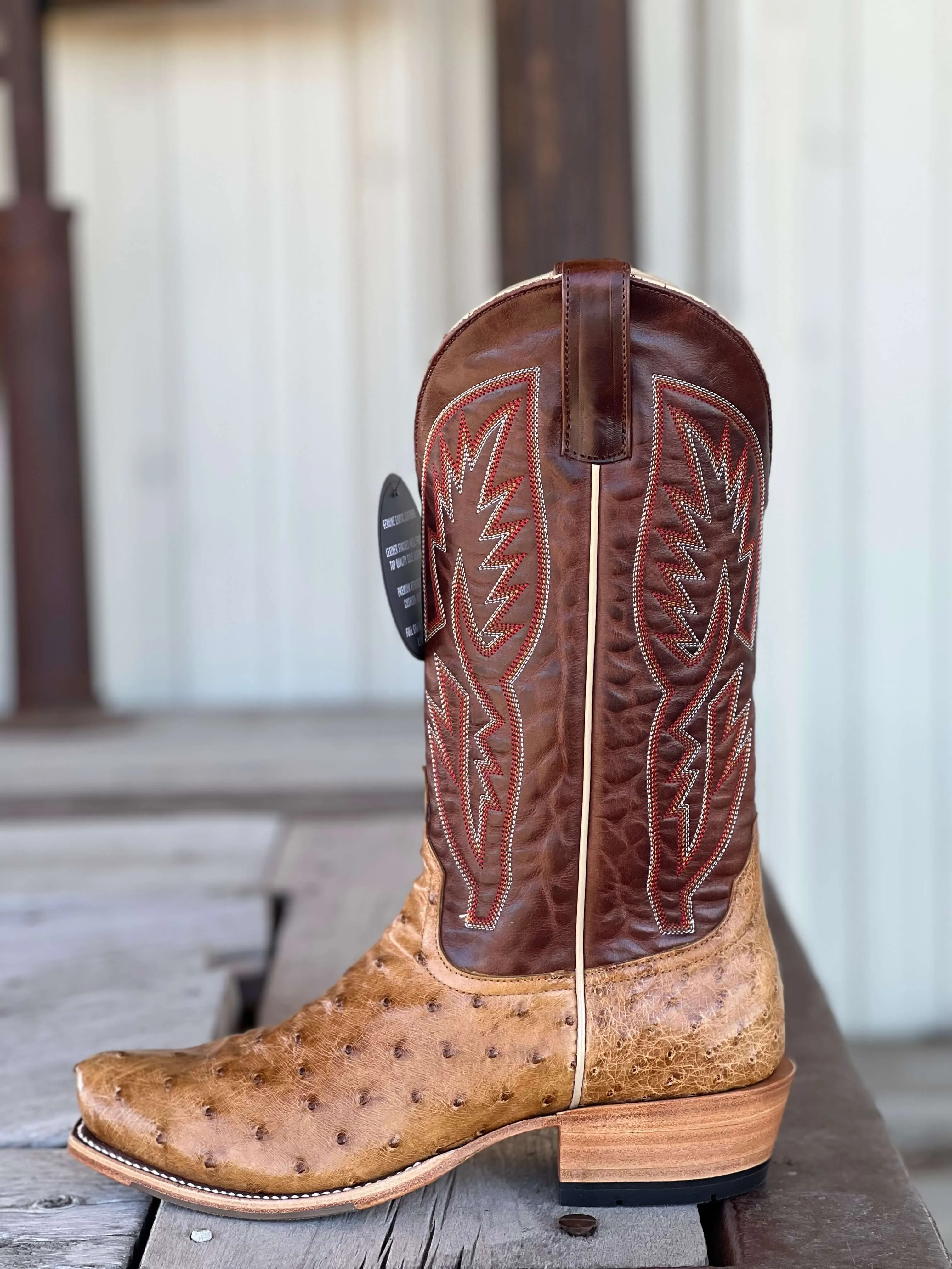 Horse Power Top Hand  | Antique Saddle FQ Ostrich TK Toe Boot